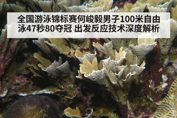全国游泳锦标赛何峻毅男子100米自由泳47秒80夺冠 出发反应技术深度解析 | jiuyouhui