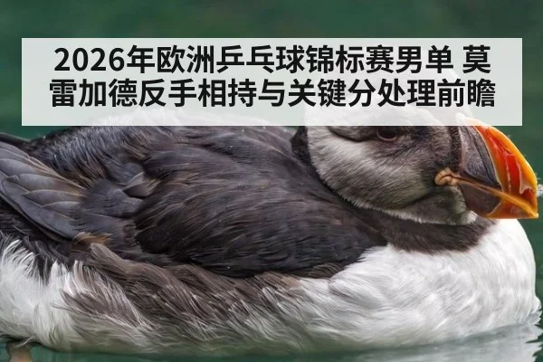 2026年欧洲乒乓球锦标赛男单 莫雷加德反手相持与关键分处理前瞻