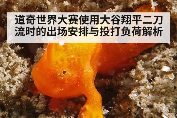 道奇世界大赛使用大谷翔平二刀流时的出场安排与投打负荷解析